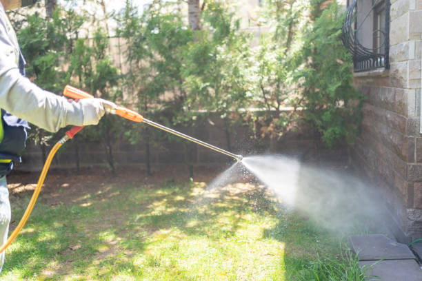 Best Fumigation Services  in Champaign, IL